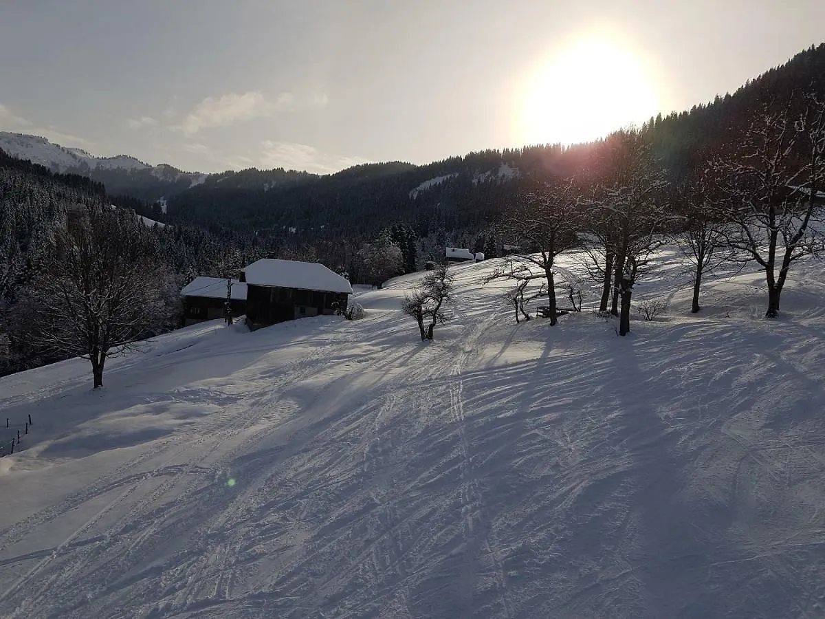 Le Marquis Apartment Morzine 0*,  France